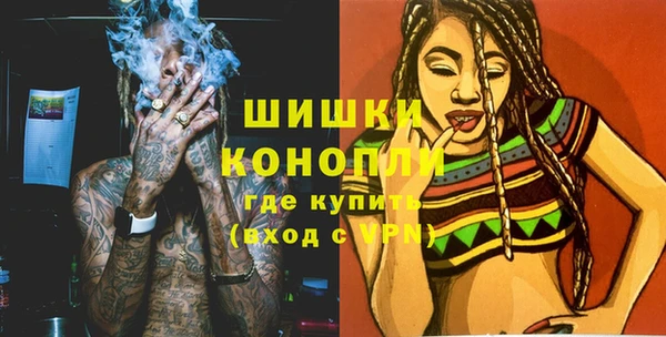 ГАЛЛЮЦИНОГЕННЫЕ ГРИБЫ Медногорск
