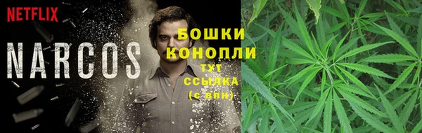 сатива Мегион