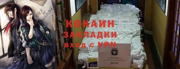 ГАЛЛЮЦИНОГЕННЫЕ ГРИБЫ Медногорск