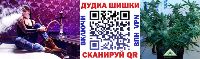 купить наркотики сайты  KRAKEN ссылки  darknet какой сайт  Жиздра  Бошки Шишки Bruce Banner 